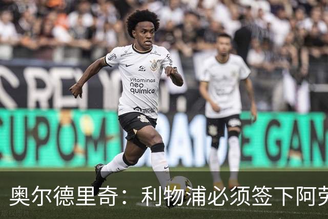 奥尔德里奇：利物浦必须签下阿劳霍